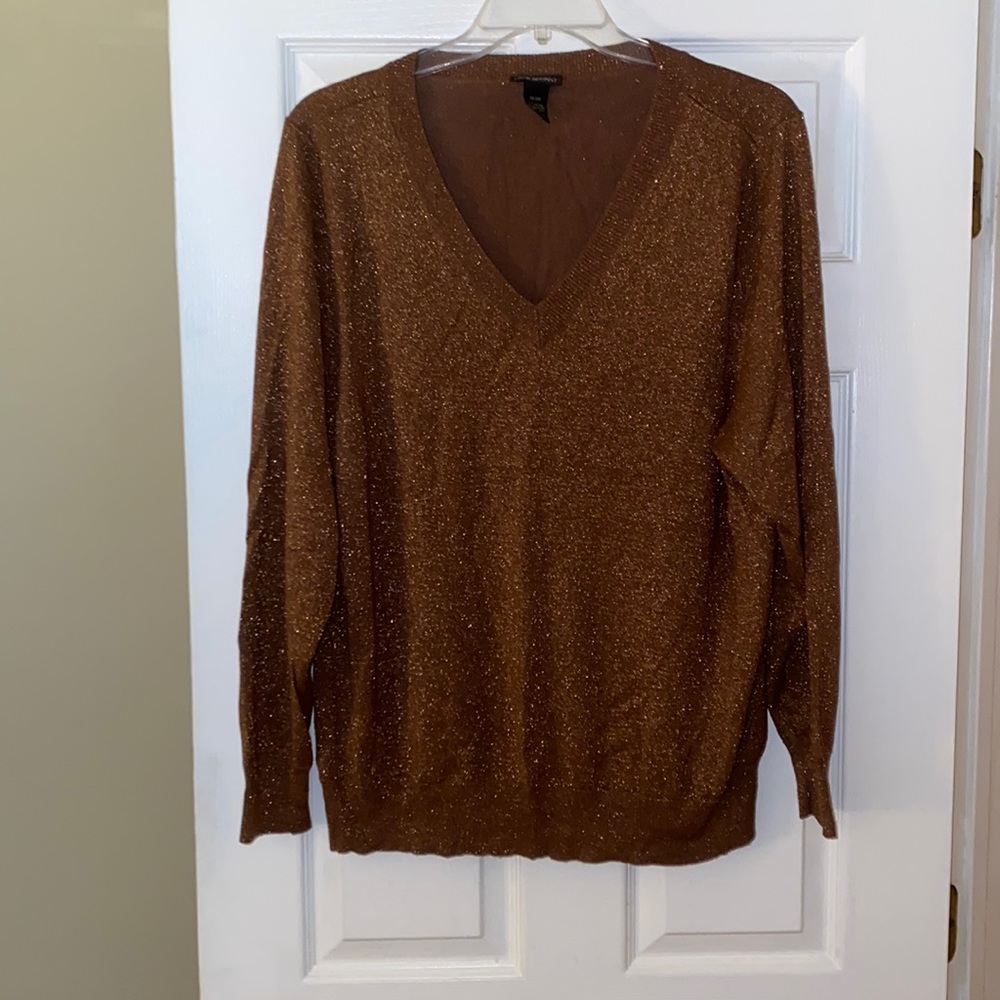 Lane Bryant Plus size 26/28 Bronze Glitter Sweater